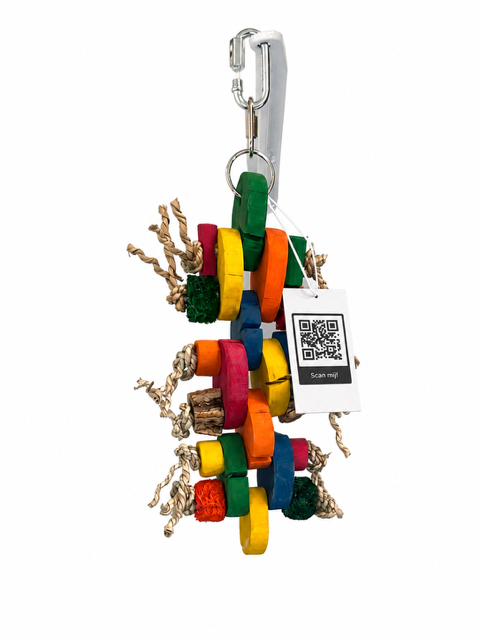 Parrotstore.be logo met een hyacintara en een witte kaketoe