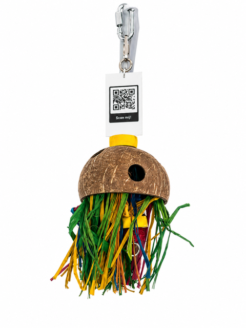 Parrotstore.be logo met een hyacintara en een witte kaketoe