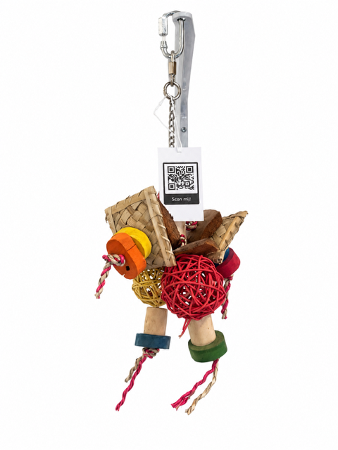 Parrotstore.be logo met een hyacintara en een witte kaketoe