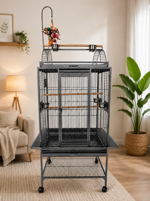 Parrotstore.be logo met een hyacintara en een witte kaketoe
