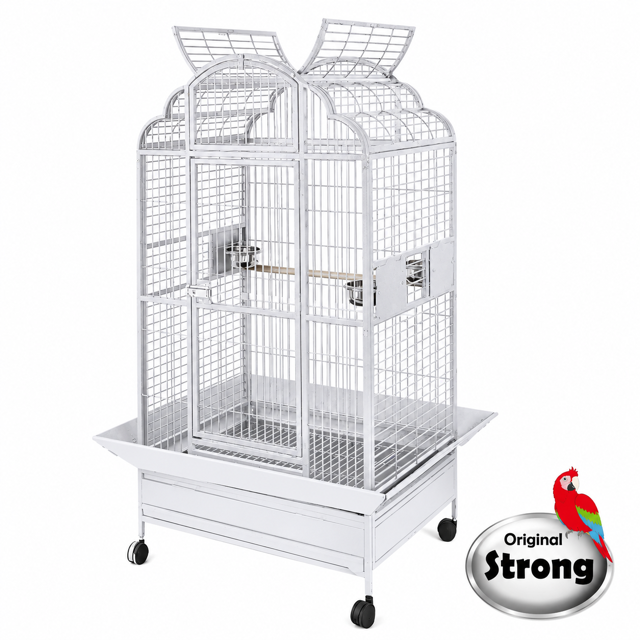 Parrotstore.be logo met een hyacintara en een witte kaketoe