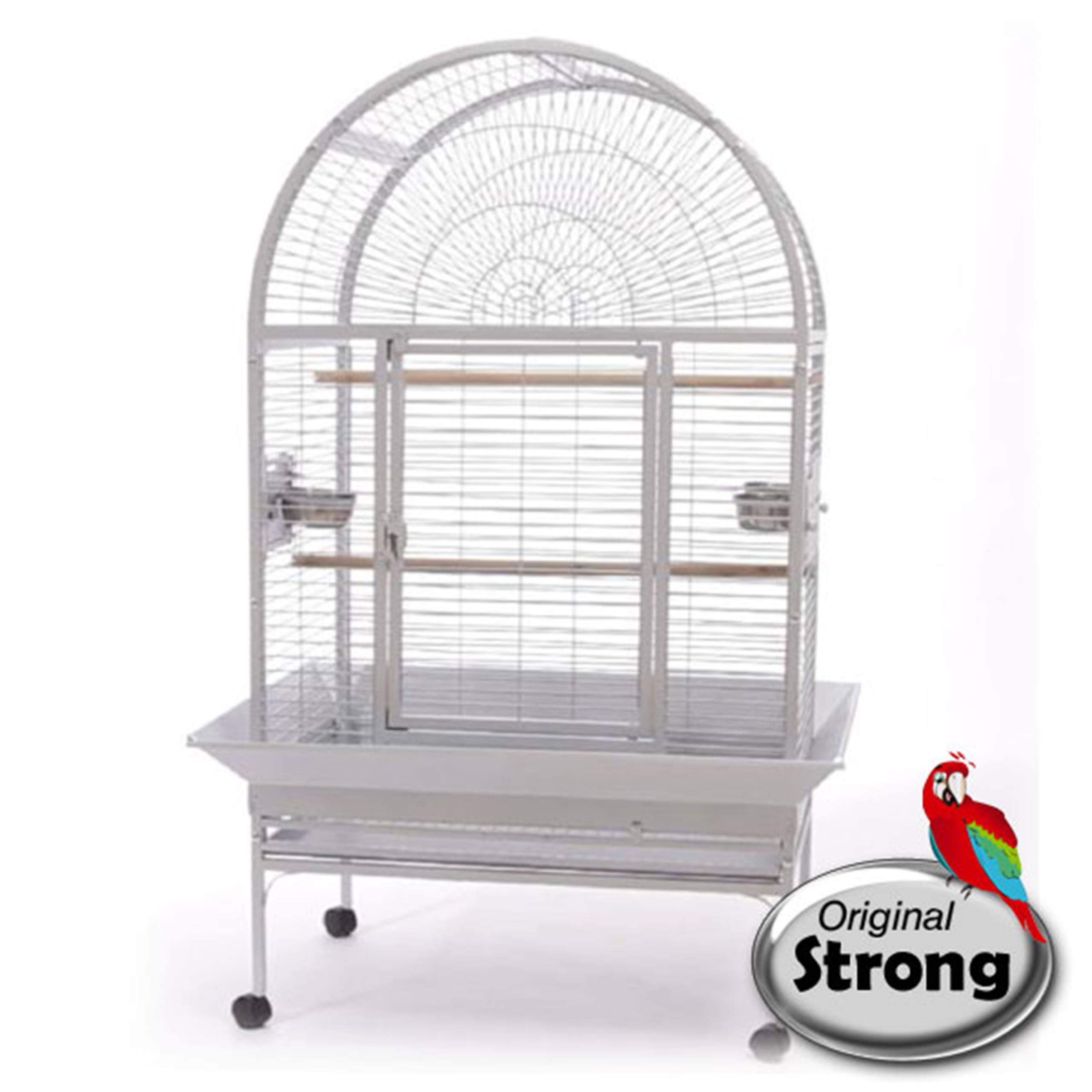 Parrotstore.be logo met een hyacintara en een witte kaketoe
